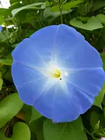 P1020665.webp