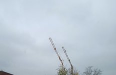 IMG_20241024_103500_1.jpg