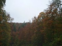 IMG_20241024_103228_1.jpg