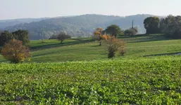 IMG_20241022_162139 (1).webp
