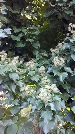 20241015_165526.webp