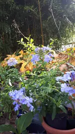 20241019_115206.webp