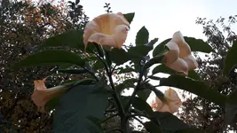 20241024_174553.webp