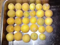 Poncirus trifoliata.webp