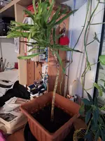 20241026_201531.webp