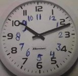 IMG_1780.jpeg