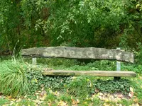 004.webp