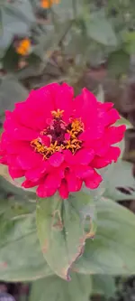 20241027_153711.webp