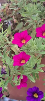 20241027_153638.webp