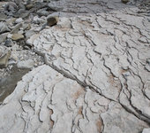 2008LinGot.jpg