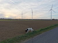 IMG_20241028_160638.jpg