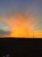 IMG_20241028_165033.jpg