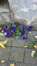 IMG_3102.webp