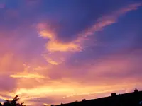 019.webp