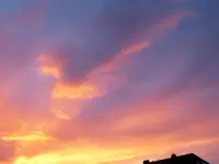 021.webp