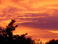 023.webp