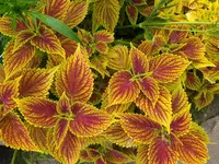 IMG_20230824_131917.webp