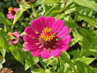 20241030_075830.webp