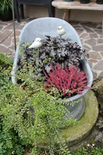 Terasse             5724.webp