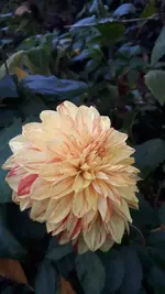 20241028_160038.webp