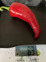 Paprika*Spitzpaprika 'Lipari' Ernte*2024-10-30.jpg