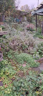 20241031_144706.webp