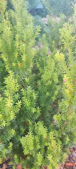20241101_092026.webp