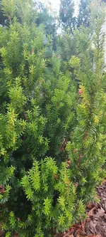 20241101_092036.webp