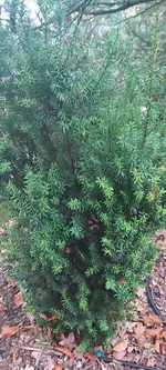 20241101_092059.webp