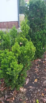 20241101_092113.webp