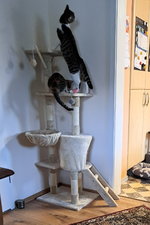20241101_160648.jpg