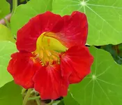 013.webp