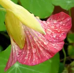 020.webp