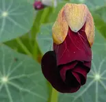 023.webp