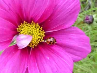 014.webp