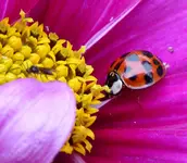 018.webp