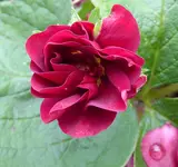 024.webp