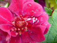 025.webp