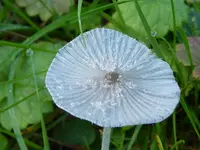 076.webp