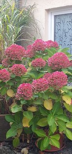 20241102_163202.jpg