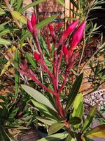 IMG_20241103_083758.jpg