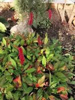 IMG_20241103_084016.webp