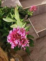 IMG_20241103_085954.jpg