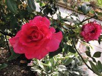 IMG_20241103_090046.jpg