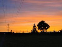 IMG_20241103_165146.jpg