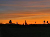 IMG_20241103_165959.jpg