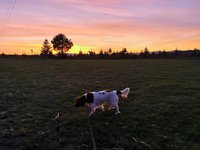 IMG_20241103_165130.jpg