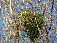 011.webp