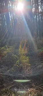 20241103_142126.webp