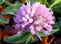 004.webp
